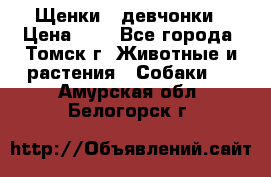 Щенки - девчонки › Цена ­ 2 - Все города, Томск г. Животные и растения » Собаки   . Амурская обл.,Белогорск г.